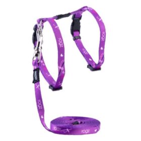Rogz KiddyCat H-Harness and Lead Combination - Purple Dragonfly Design - Small